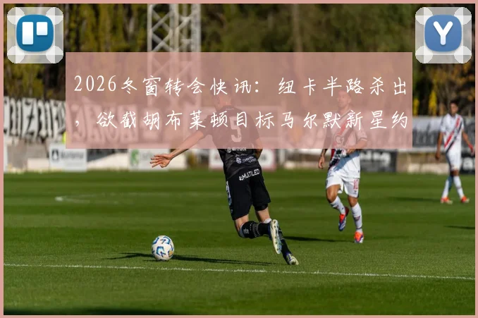 2026冬窗转会快讯：纽卡半路杀出，欲截胡布莱顿目标马尔默新星约翰纳，三方博弈最新动态解析