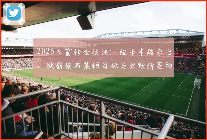 2026冬窗转会快讯：纽卡半路杀出，欲截胡布莱顿目标马尔默新星约翰纳，三方博弈最新动态解析